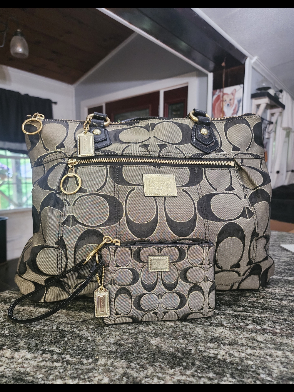 Coach Poppy Lurex Glam Signature Tote with Matching Wristlet
